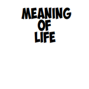 Whats the meaning of life!