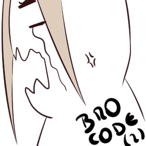 BRO CODE (2)