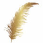 Feather