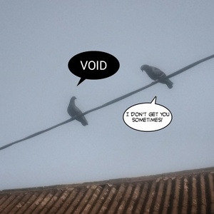 Birds-uh-void