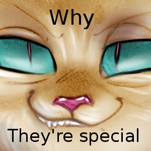 Why they're special