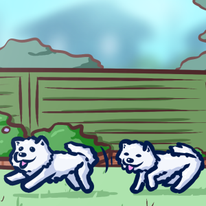 #452 Garden