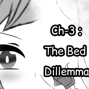 The Bed Dillemma