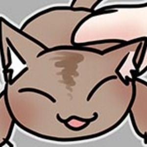 Having two cats: Expectation vs. Reality