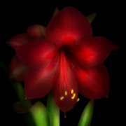 Told Not To Be In Love