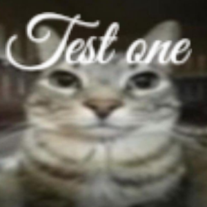 test#1.5