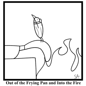 Out of the Frying Pan and Into the Fire