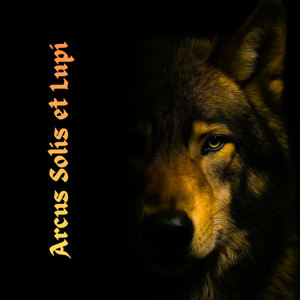 Caput Nonum: Adsum in Umbris