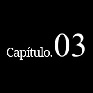 Cap&iacute;tulo 03