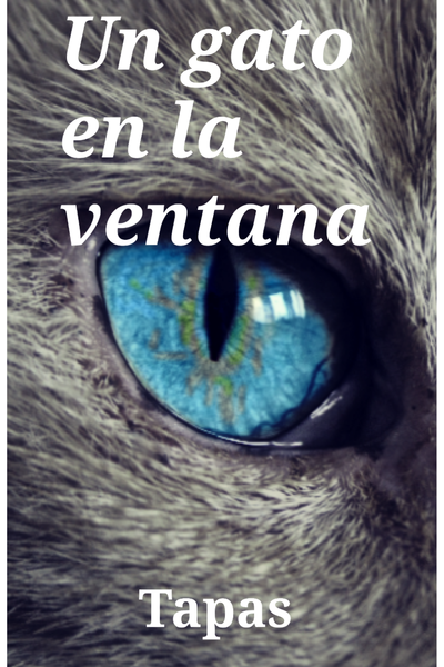 Un gato en la ventana (Spanish)