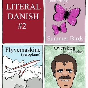 Literal Danish 2