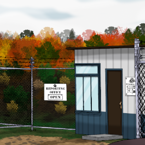 The Blue Rock Office