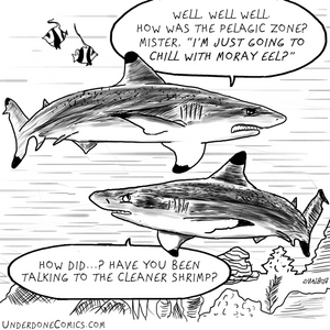 What Happens in the Pelagic, Stays in the Pelagic