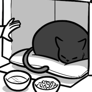 The Surprise (Part 7)