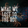 What We Lost To The Rot