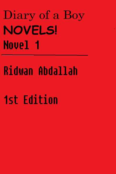Diary of a Boy Novels!