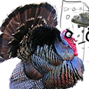 R.I.S.C.G: The Thanksgiving Special