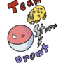 Pokemon Mystery Dungeon: Team Storm Front! 