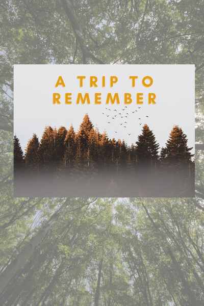A Trip to Remember