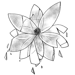 New Places, New Faces