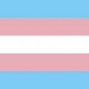 A guide to being a guy