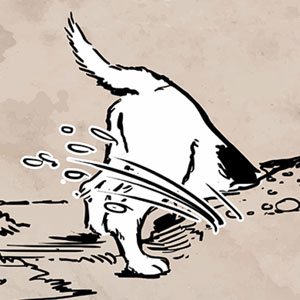 A Hole a Day&hellip;