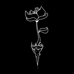 Season One // Secrets Of U'haou