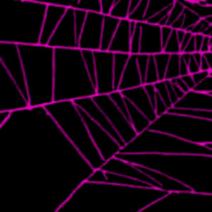 14 - Filament, filament, filament