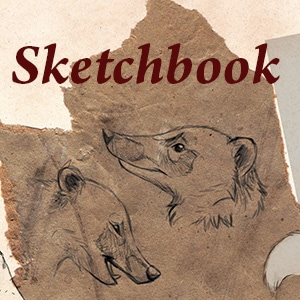 Sketchbook of EosFoxx