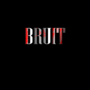 BRUIT: A Madness Combat Series