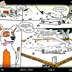 A Dog's Treasure is Man's Trash