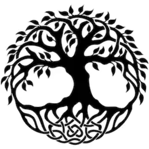 New memories and Home