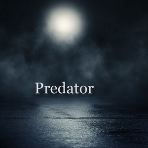 Predator (Part 1)