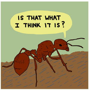 Ants Carrying Stuff Comics