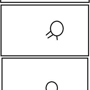 dont diy