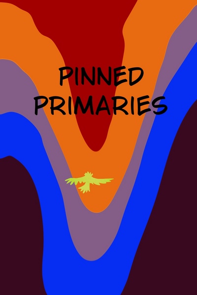Pinned Primaries