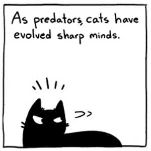 Object Permanence