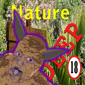 Nature DEEP Episode 6, The Short-Tailed Bat