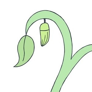Chrysalis
