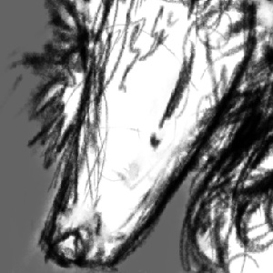Deer - 6,7