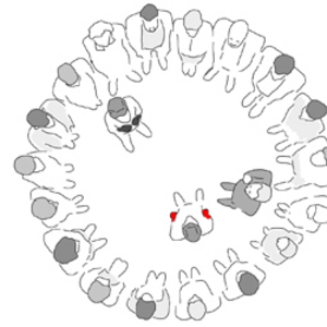 The Ring
