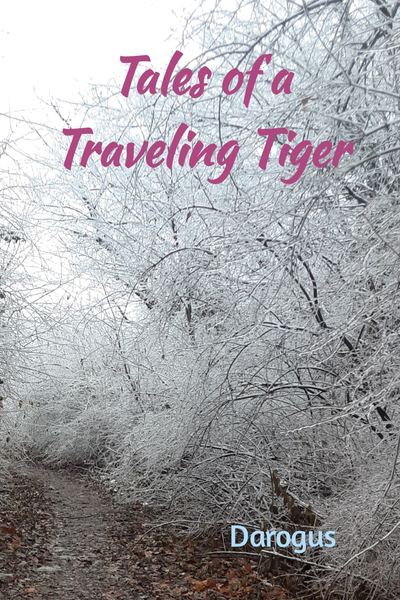 Tales of a Traveling Tiger