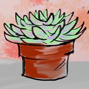 The Insulted Succulent