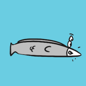 As Sardinhas em A espada na rocha! 