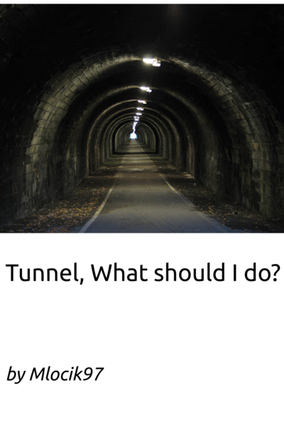 Tunnel, What should I do?