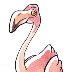 FAQ #1: Flamingos and learning