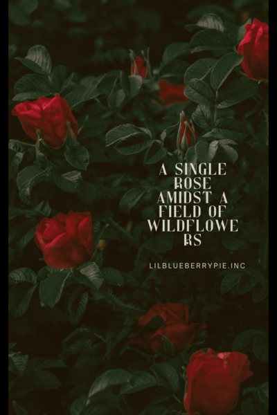 A Single Rose Amidst a Field of Wildflowers