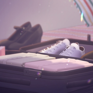 Cap&iacute;tulo II: La &uacute;ltima noche en casa