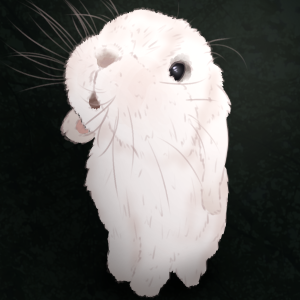 The Rabbit