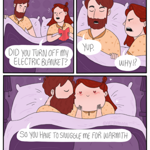Electric Blanket